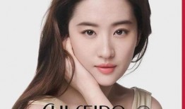 明星排名大全,揭秘娱乐圈风云变幻，盘点年度璀璨星辉